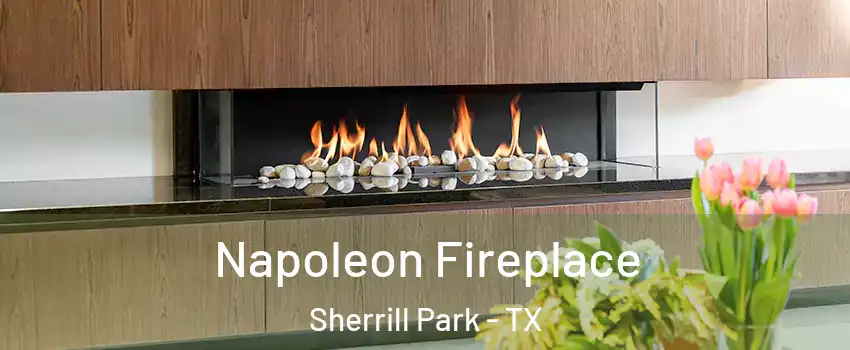 Napoleon Fireplace Sherrill Park - TX