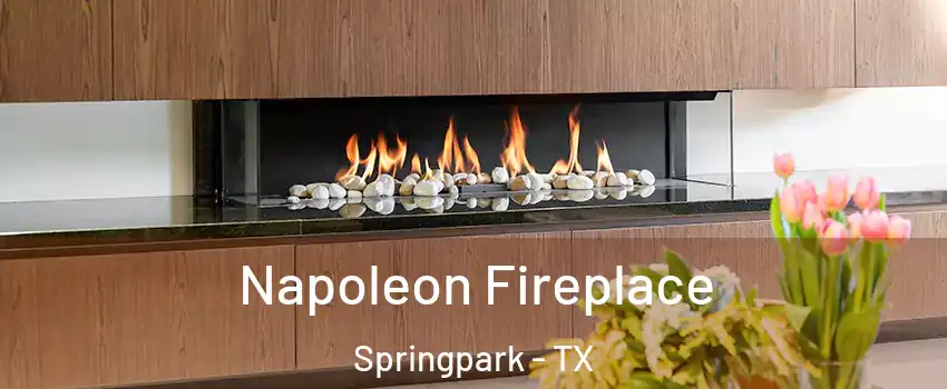 Napoleon Fireplace Springpark - TX