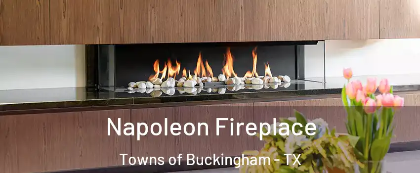 Napoleon Fireplace Towns of Buckingham - TX