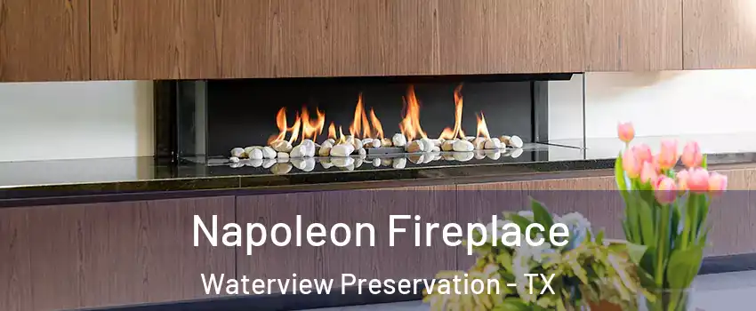 Napoleon Fireplace Waterview Preservation - TX