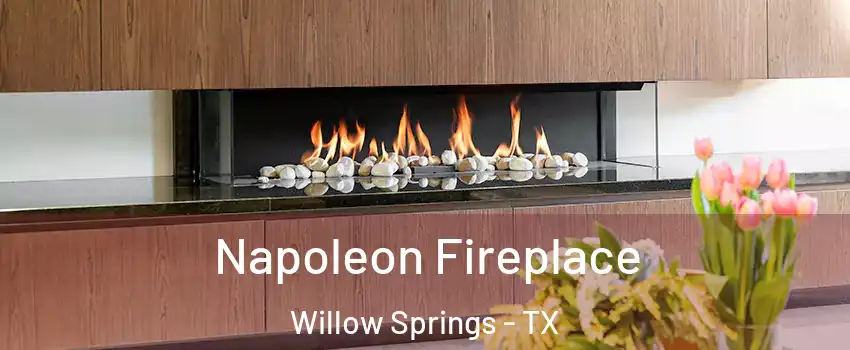 Napoleon Fireplace Willow Springs - TX