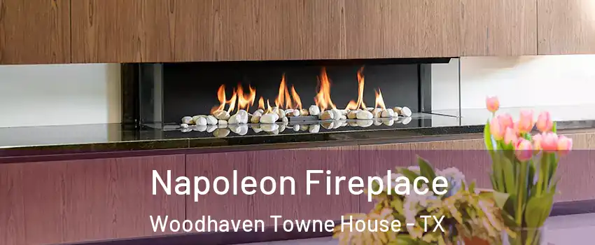 Napoleon Fireplace Woodhaven Towne House - TX