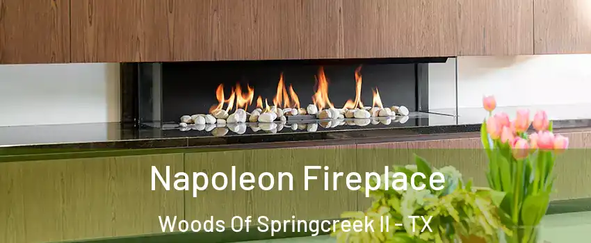 Napoleon Fireplace Woods Of Springcreek II - TX