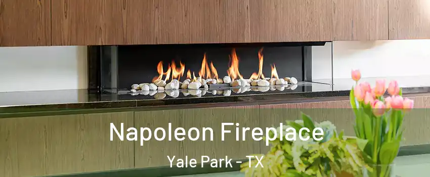 Napoleon Fireplace Yale Park - TX