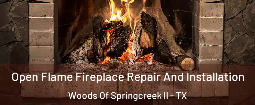 Open Flame Fireplace Repair And Installation Woods Of Springcreek II - TX