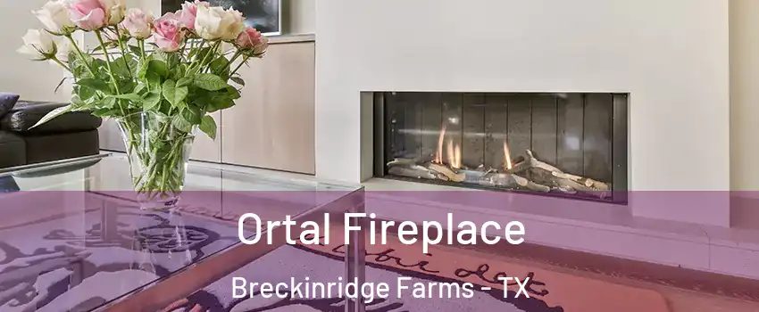 Ortal Fireplace Breckinridge Farms - TX