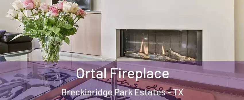 Ortal Fireplace Breckinridge Park Estates - TX
