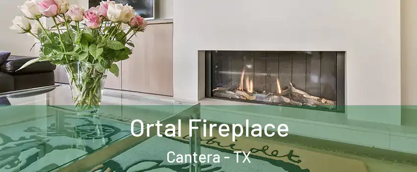 Ortal Fireplace Cantera - TX