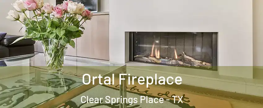 Ortal Fireplace Clear Springs Place - TX