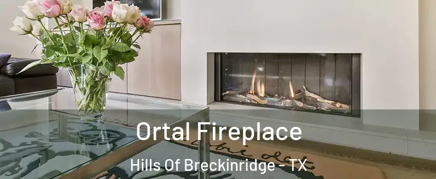Ortal Fireplace Hills Of Breckinridge - TX