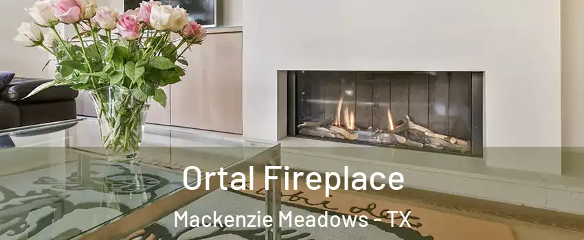 Ortal Fireplace Mackenzie Meadows - TX