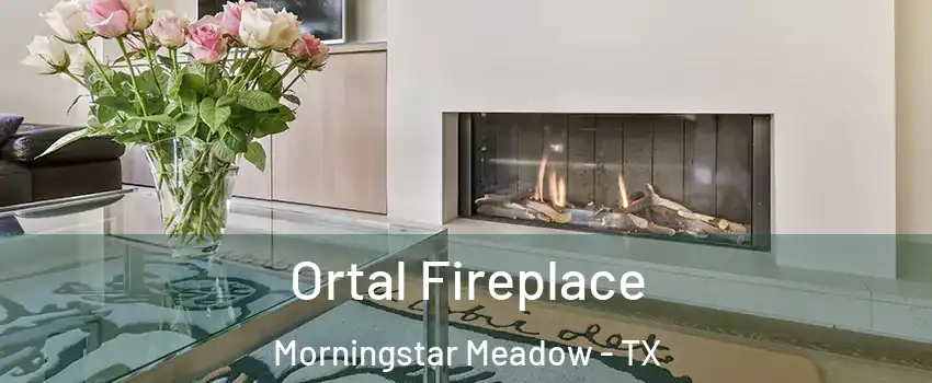 Ortal Fireplace Morningstar Meadow - TX