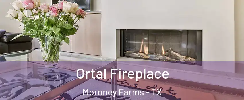 Ortal Fireplace Moroney Farms - TX