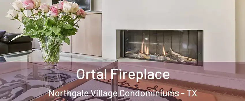 Ortal Fireplace Northgale Village Condominiums - TX