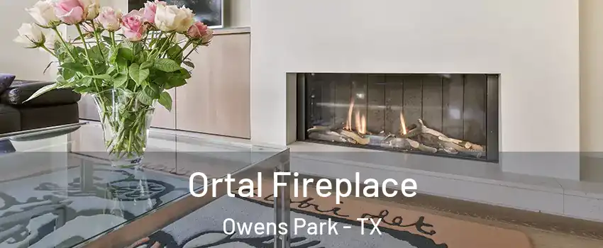 Ortal Fireplace Owens Park - TX
