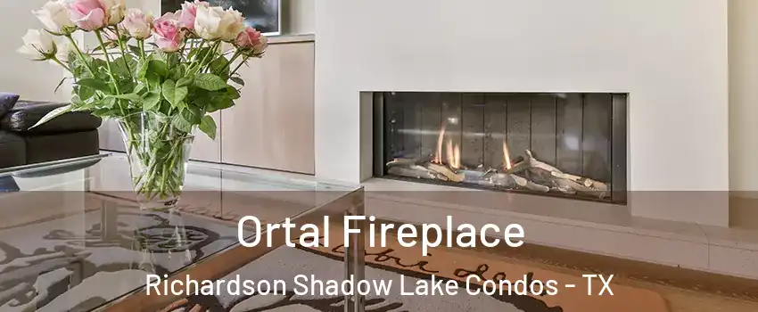 Ortal Fireplace Richardson Shadow Lake Condos - TX
