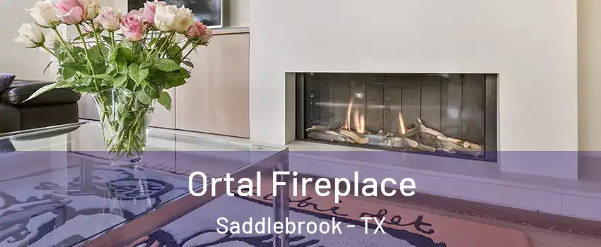 Ortal Fireplace Saddlebrook - TX
