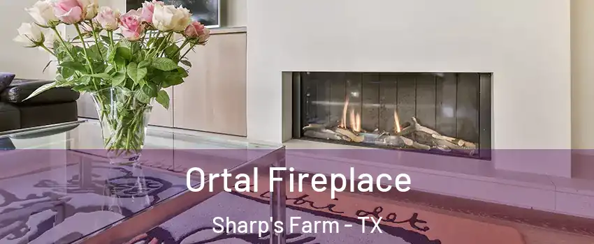 Ortal Fireplace Sharp's Farm - TX