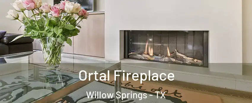 Ortal Fireplace Willow Springs - TX