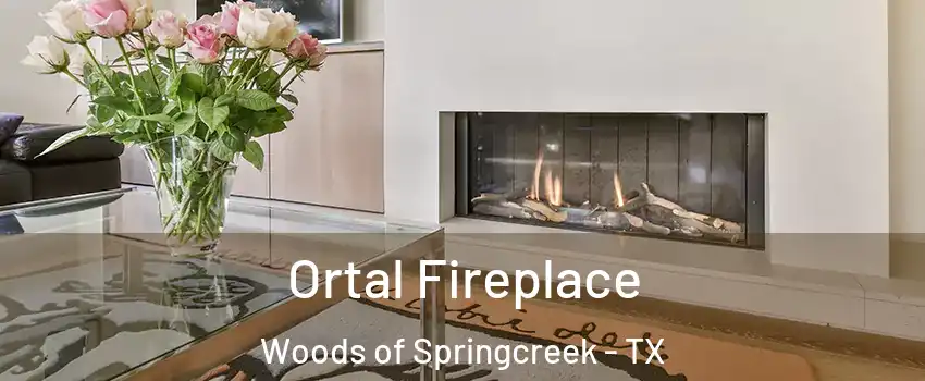Ortal Fireplace Woods of Springcreek - TX