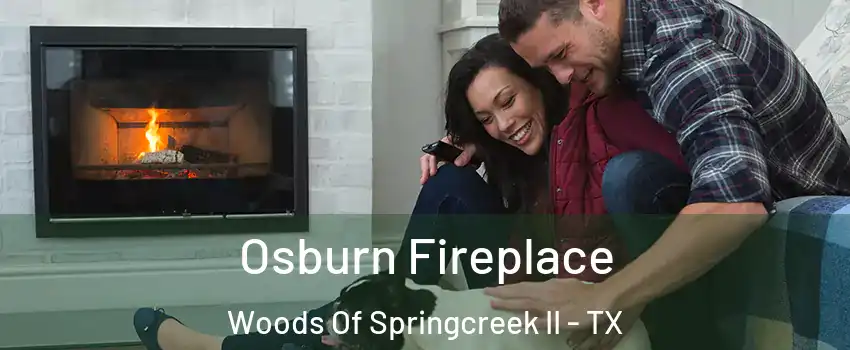 Osburn Fireplace Woods Of Springcreek II - TX