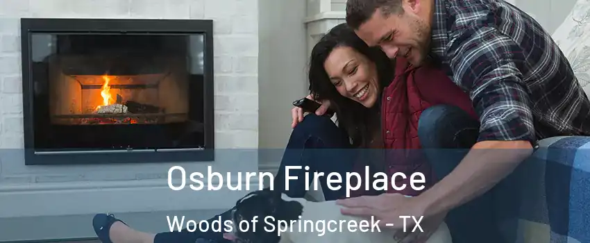 Osburn Fireplace Woods of Springcreek - TX