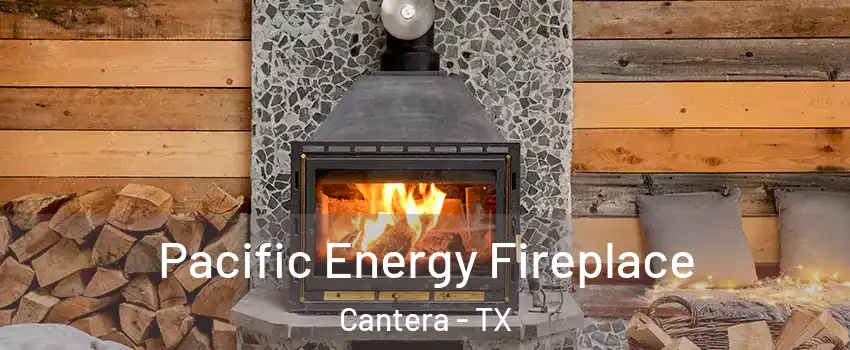 Pacific Energy Fireplace Cantera - TX