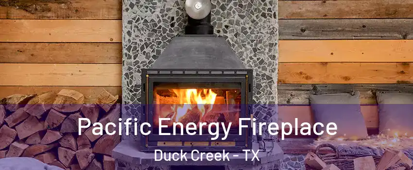 Pacific Energy Fireplace Duck Creek - TX