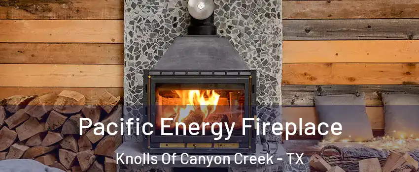 Pacific Energy Fireplace Knolls Of Canyon Creek - TX