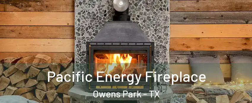 Pacific Energy Fireplace Owens Park - TX