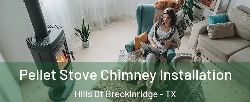 Pellet Stove Chimney Installation Hills Of Breckinridge - TX