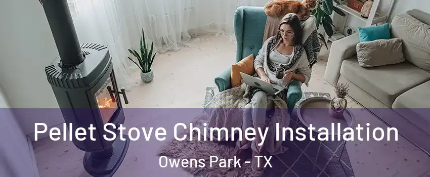 Pellet Stove Chimney Installation Owens Park - TX