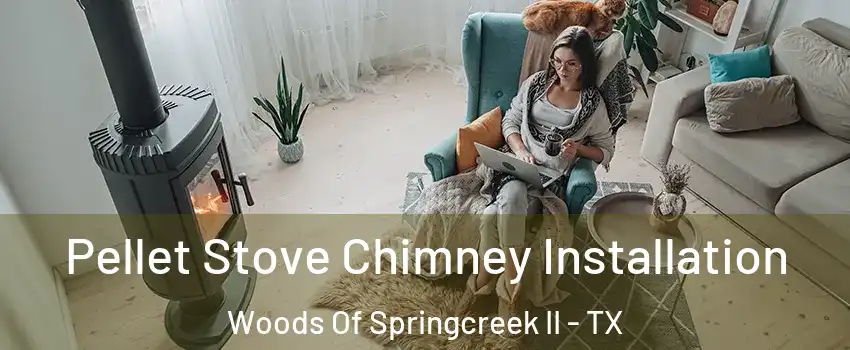 Pellet Stove Chimney Installation Woods Of Springcreek II - TX