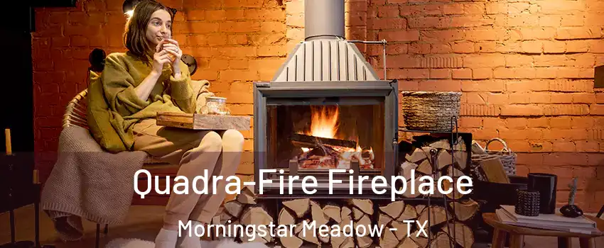 Quadra-Fire Fireplace Morningstar Meadow - TX