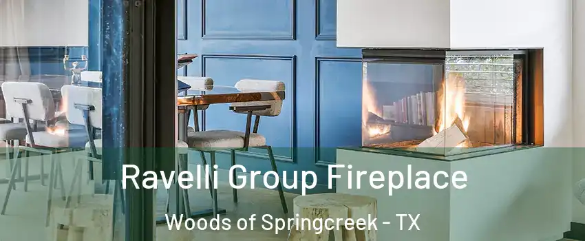 Ravelli Group Fireplace Woods of Springcreek - TX