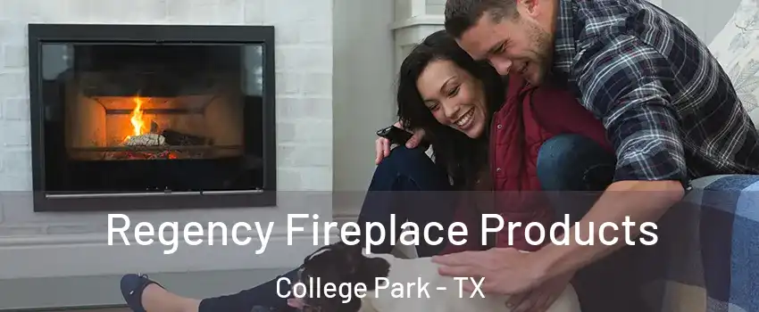 Regency Fireplace Products College Park - TX