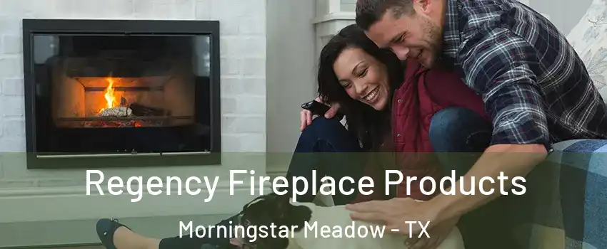 Regency Fireplace Products Morningstar Meadow - TX