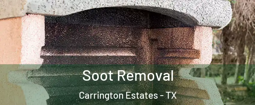 Soot Removal Carrington Estates - TX