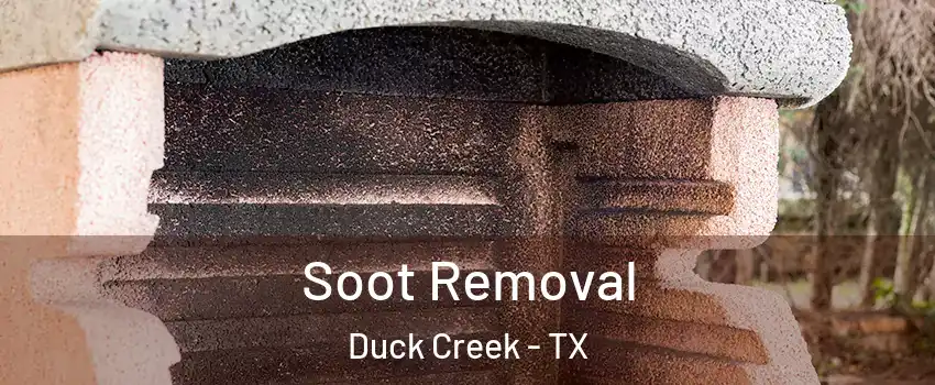 Soot Removal Duck Creek - TX