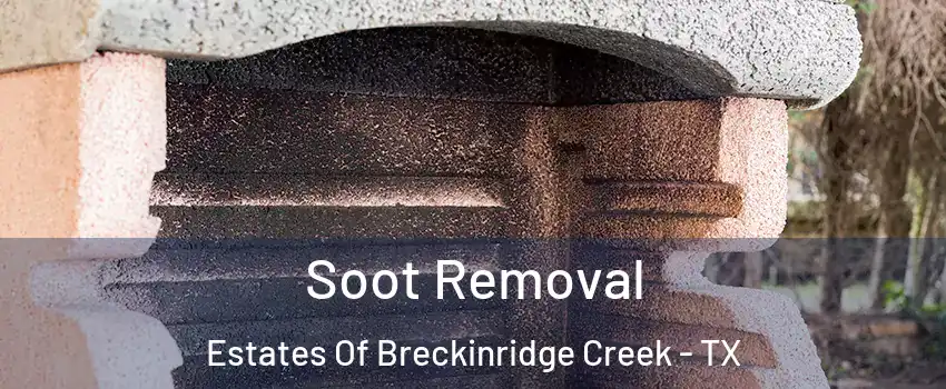 Soot Removal Estates Of Breckinridge Creek - TX