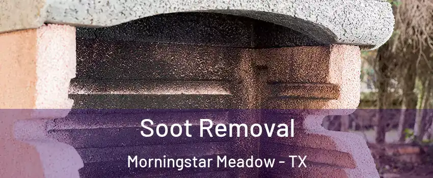 Soot Removal Morningstar Meadow - TX