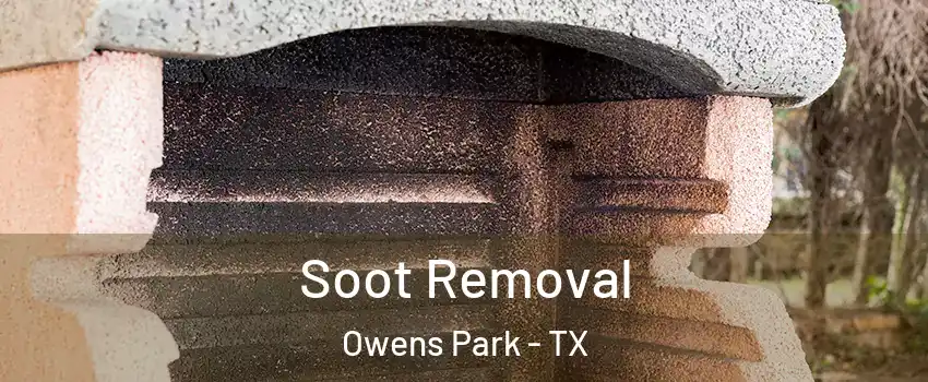 Soot Removal Owens Park - TX