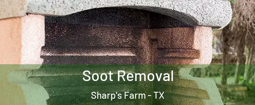 Soot Removal Sharp's Farm - TX