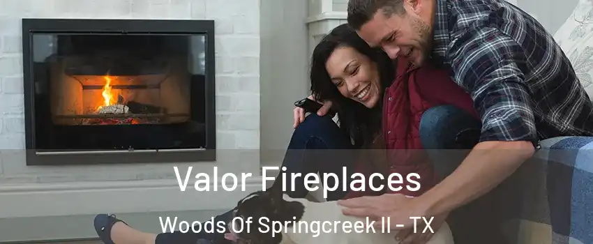 Valor Fireplaces Woods Of Springcreek II - TX