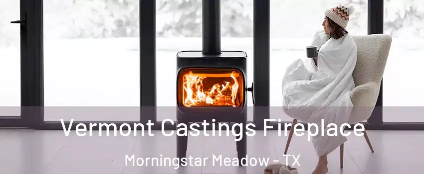 Vermont Castings Fireplace Morningstar Meadow - TX