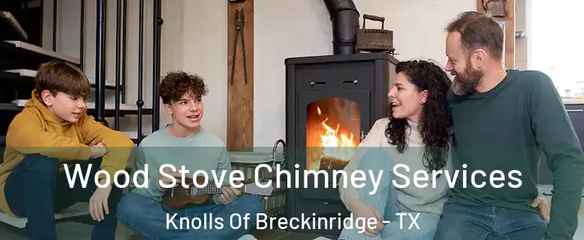Wood Stove Chimney Services Knolls Of Breckinridge - TX