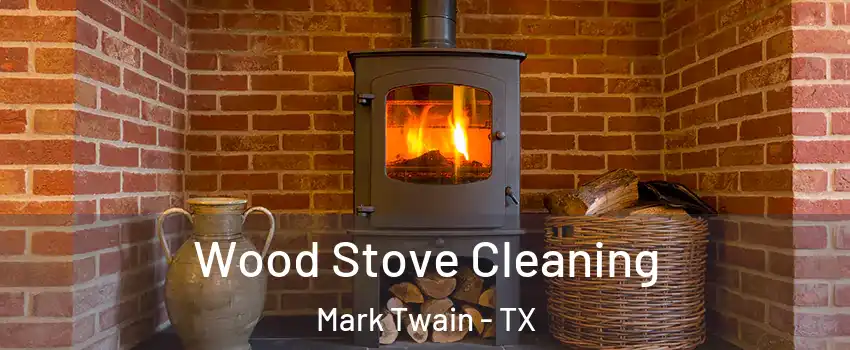 Wood Stove Cleaning Mark Twain - TX