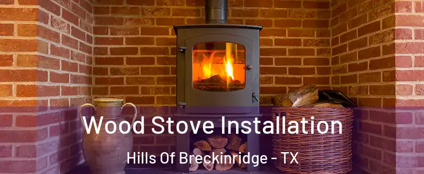 Wood Stove Installation Hills Of Breckinridge - TX